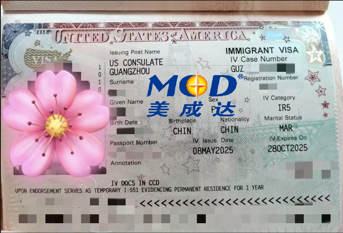 1770878903823229.png 1770878903823229.png