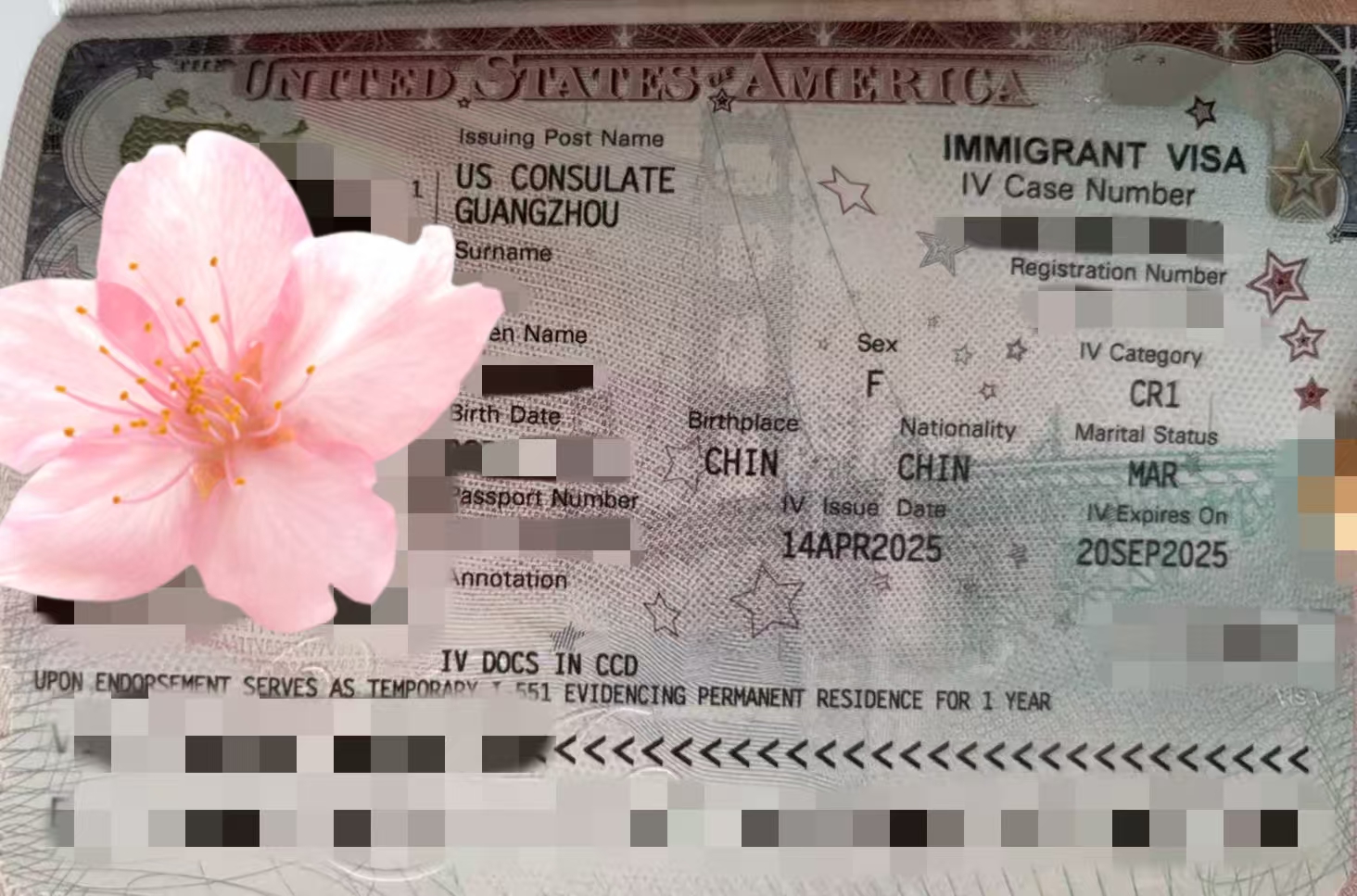 1771918324793702.jpg 1771918324793702.jpg